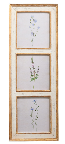 38-inch botanical floral framed wall art with wood frame and glass featuring a nature-inspired pattern.