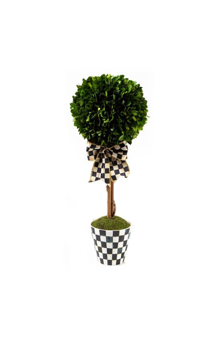 Courtly Boxwood Topiary Drop In