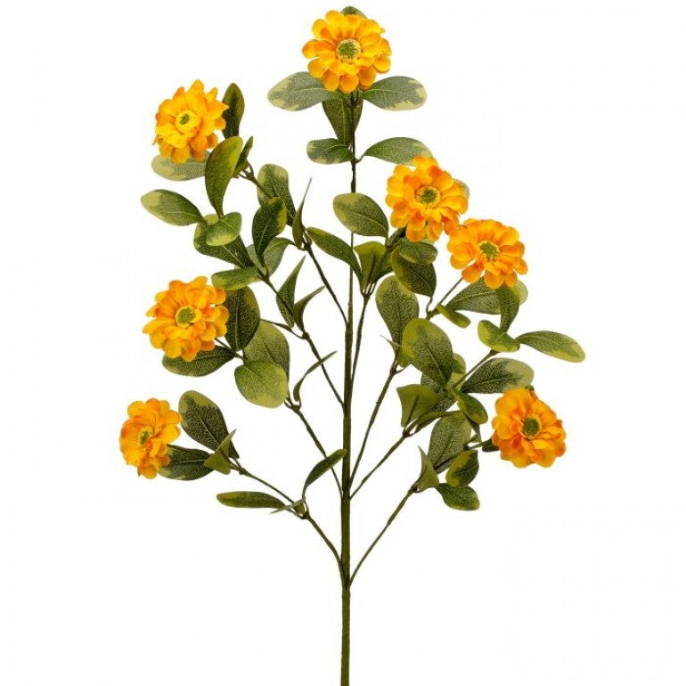 34-inch spray of button zinnia flowers in a natural green stem arrangement.