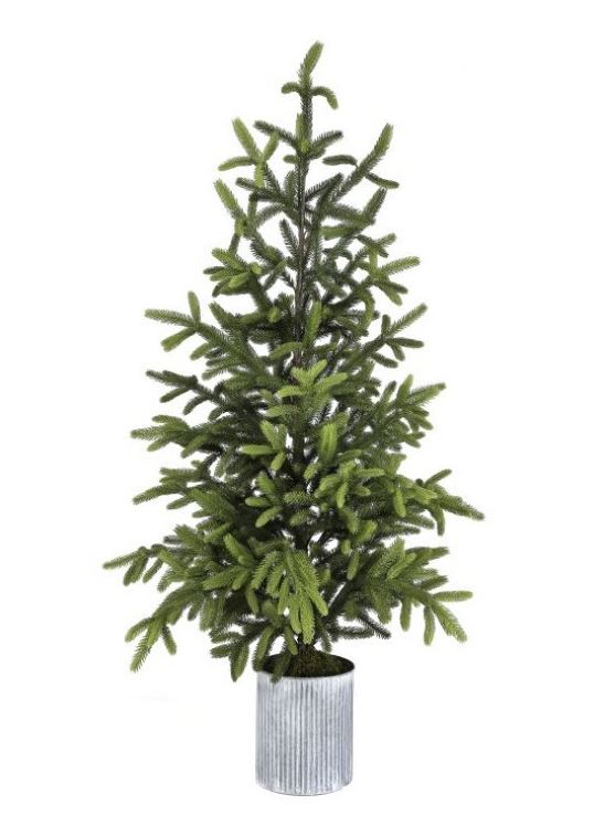 60-inch potted Norway Spruce tree in a ribbed silver metal planter.