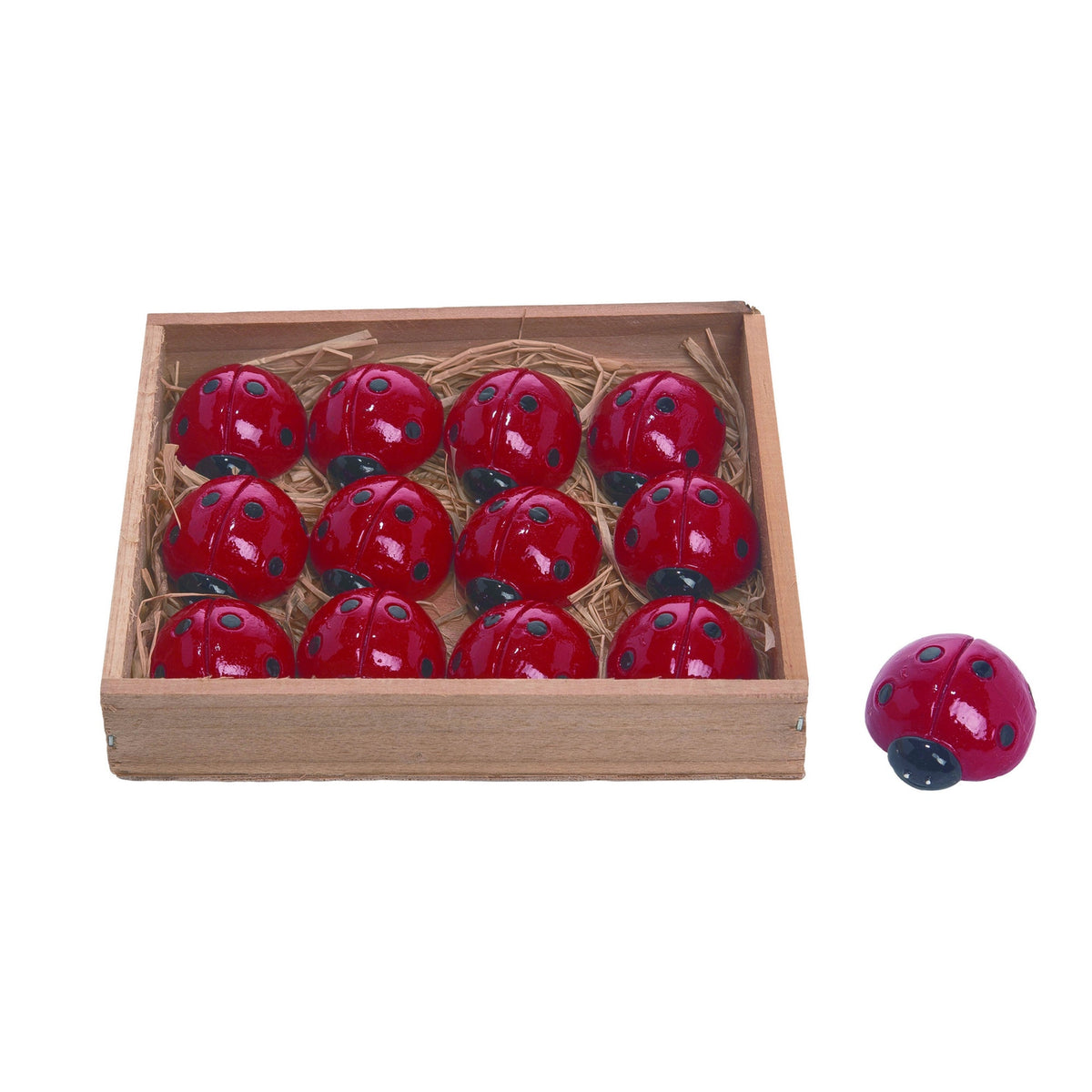 Res Mini Ladybugs in Box: small resin figurine with red ladybug pattern on black background
