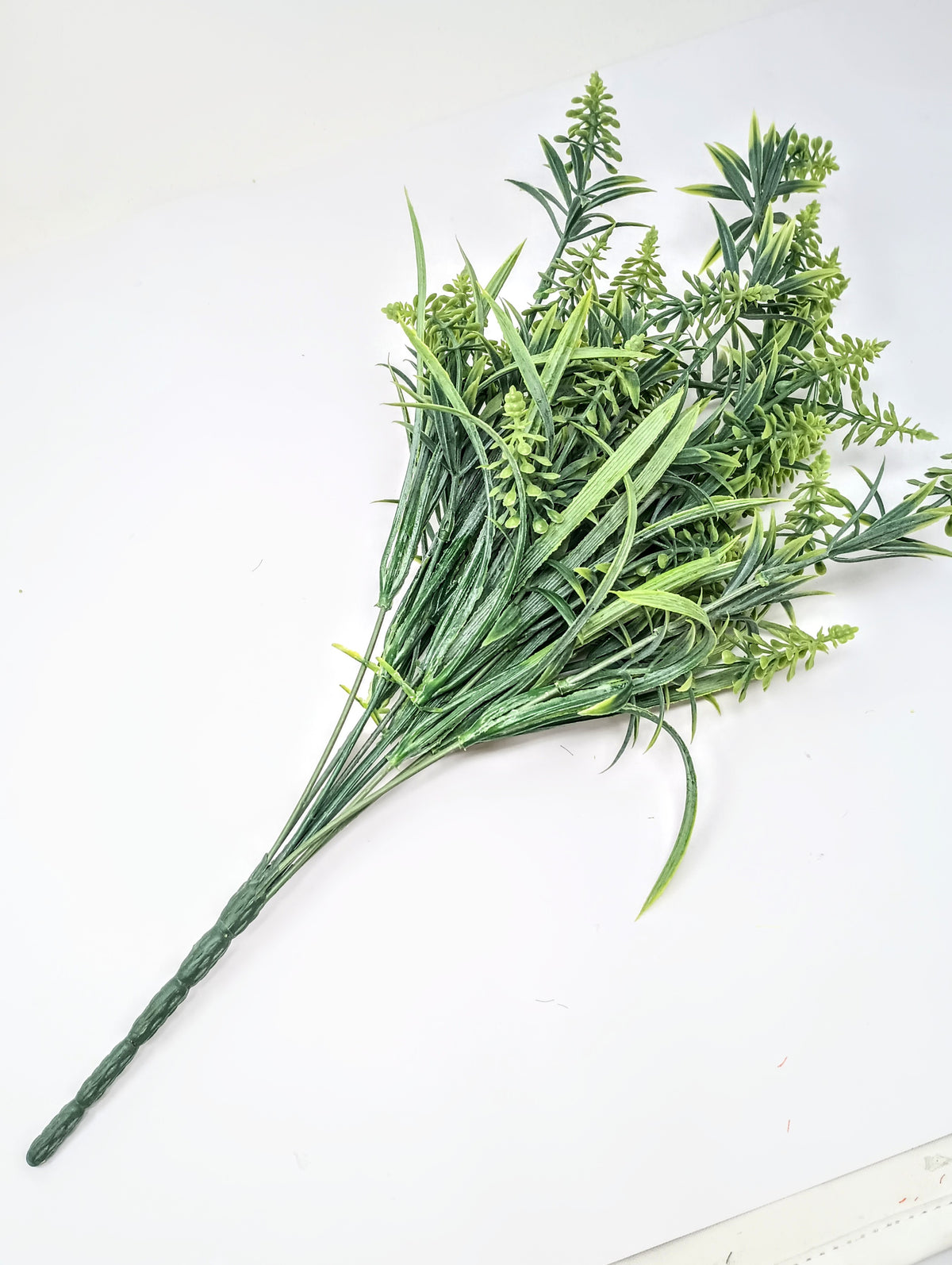 Lilac bush with green foliage measuring 19 inches long by 8 inches wide