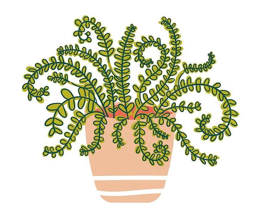 Ceramic Happy Houseplant big attachment in white with a green leaf pattern.