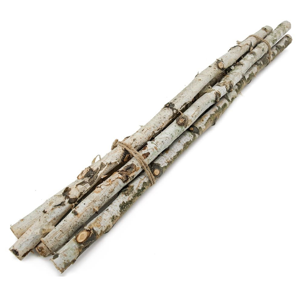 Tall birch wood vase filler with natural grain texture