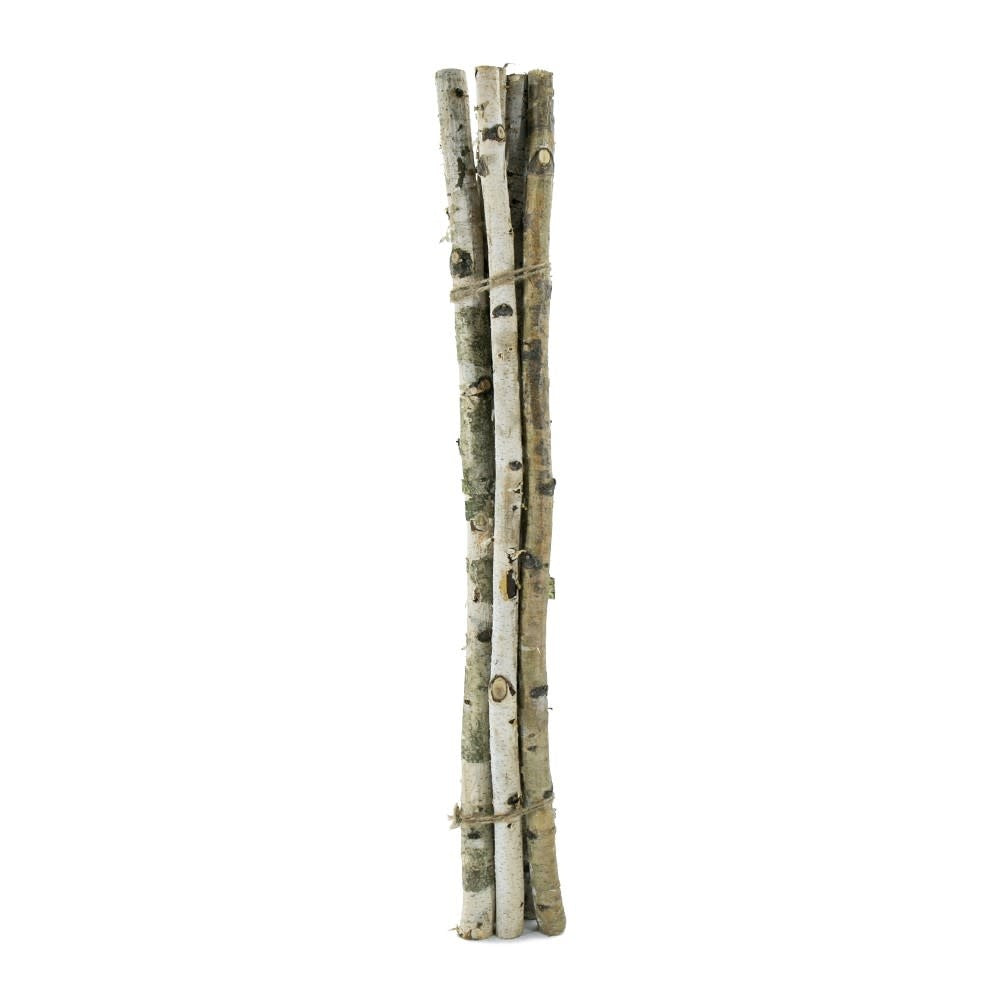 Tall birch wood vase filler with natural grain texture