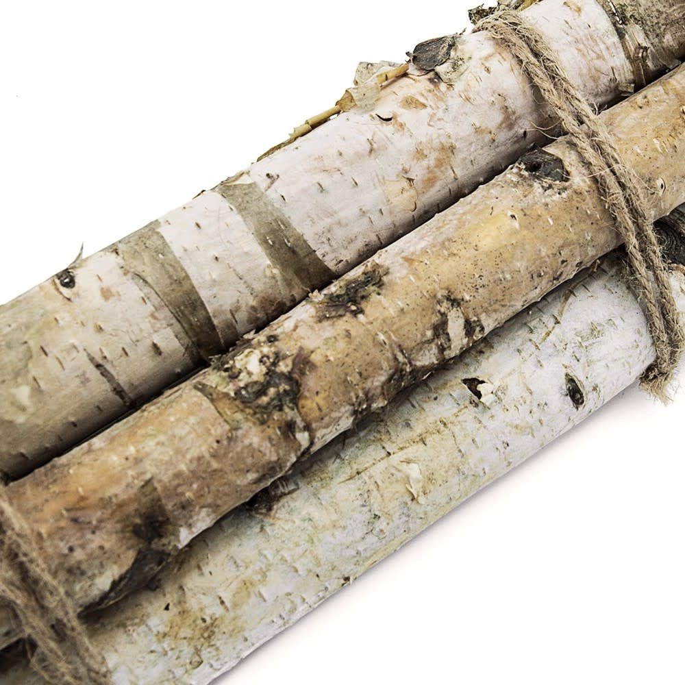 Birch wood vase filler with natural grain texture in a cylindrical shape