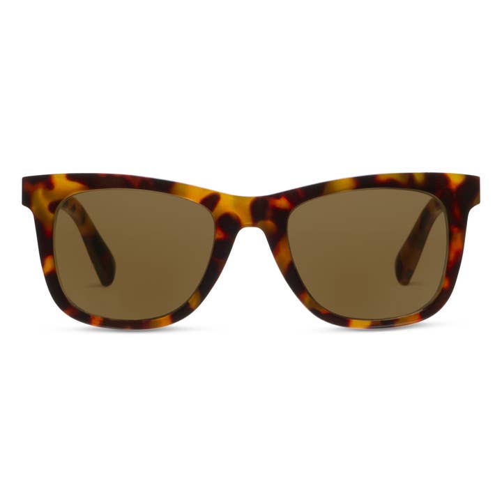 Harbor Bifocal Sun sunglasses with polycarbonate frames in warm gray tortoise pattern and amber gradient polarized lenses.