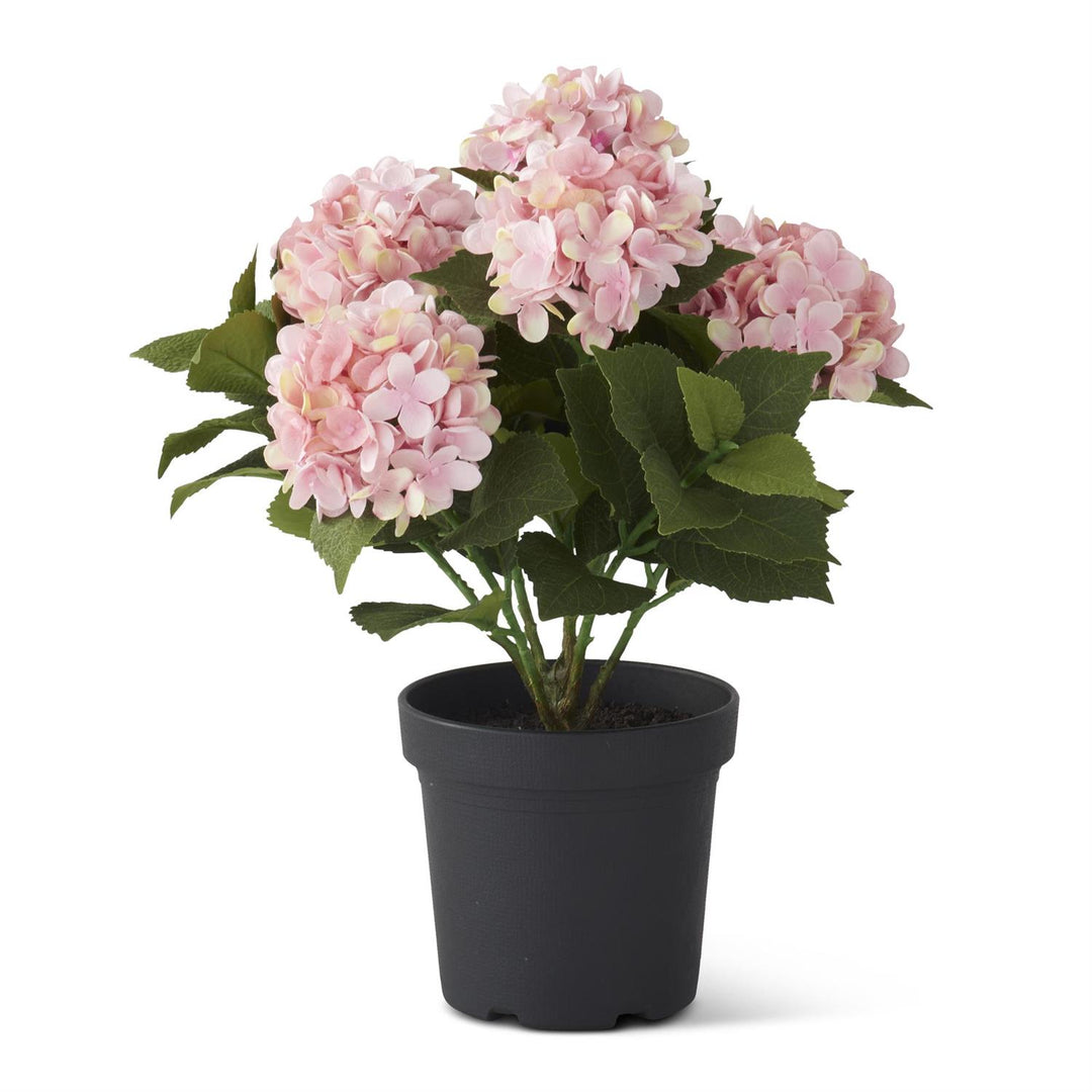 18.75 Inch 5 Bloom Potted Hydrangea with Faux Dirt