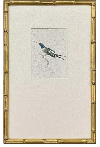 Antique hummingbird print in a gold bamboo-style frame with a white linen mat.