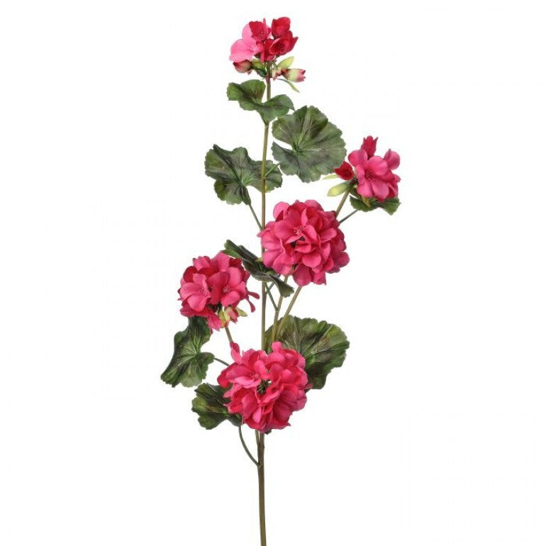 36-inch trailing geranium spray with green foliage in a clear container