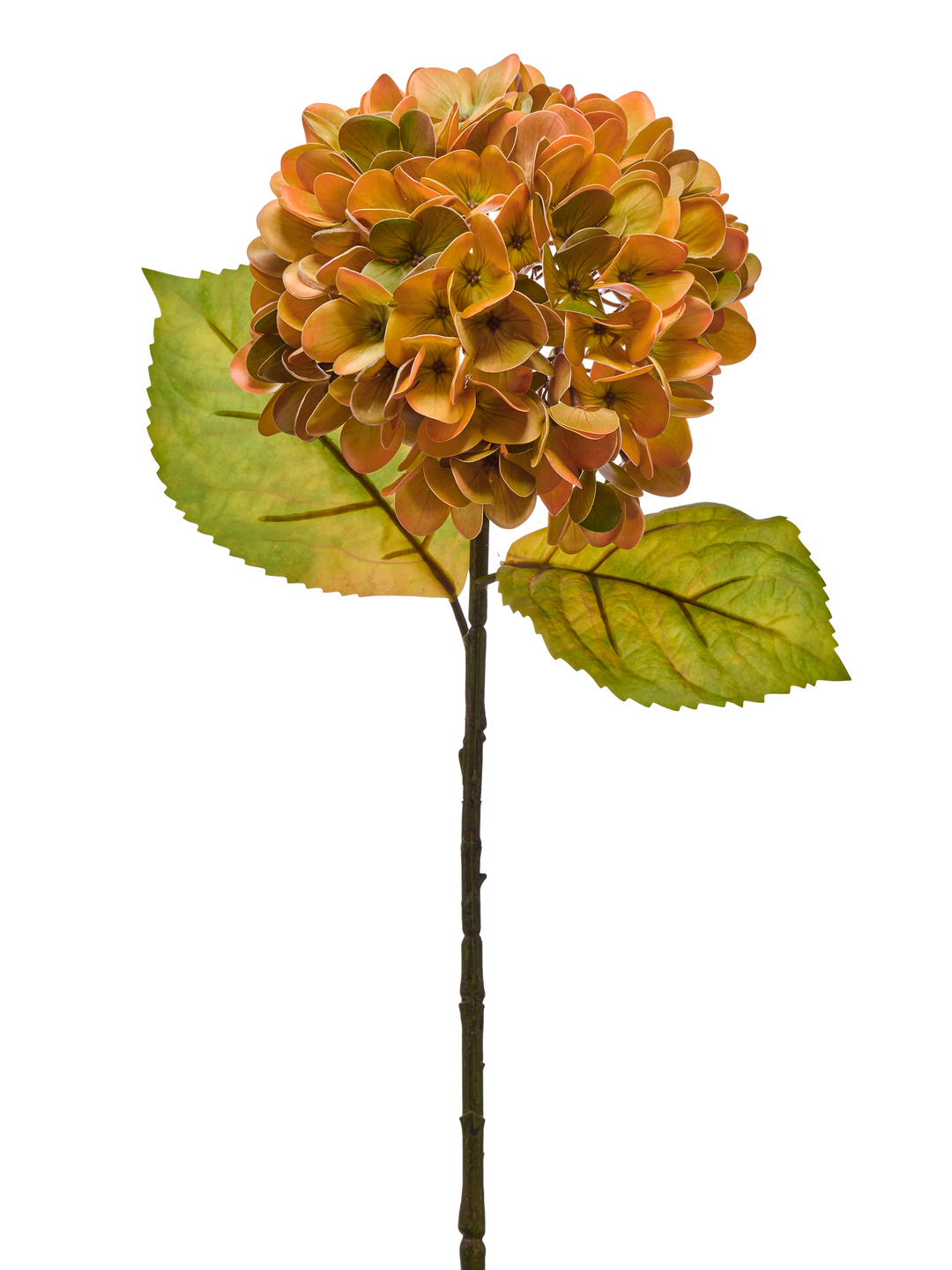 23-inch artificial autumn hydrangea stem with orange-brown petals and two green leaves.
