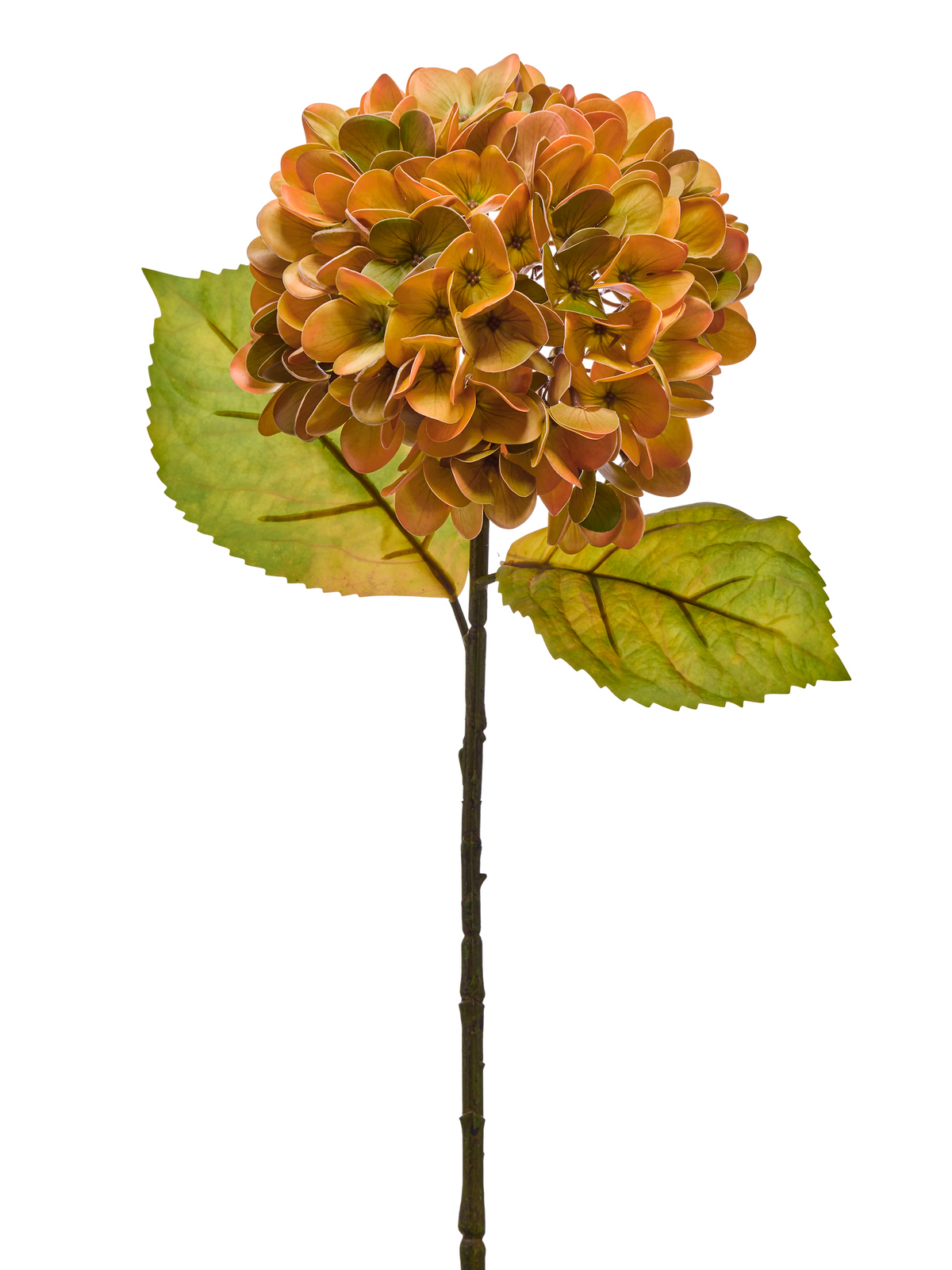 23-inch artificial autumn hydrangea stem with orange-brown petals and two green leaves.