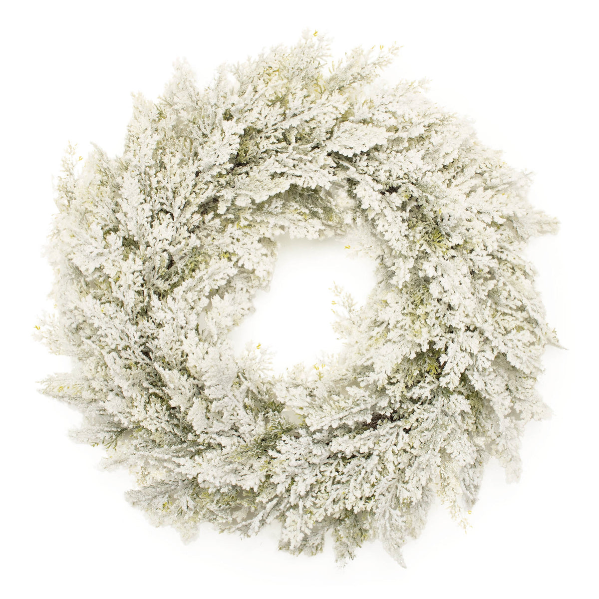 24-inch flocked pine wreath with a dense, snow-covered appearance on a white background.