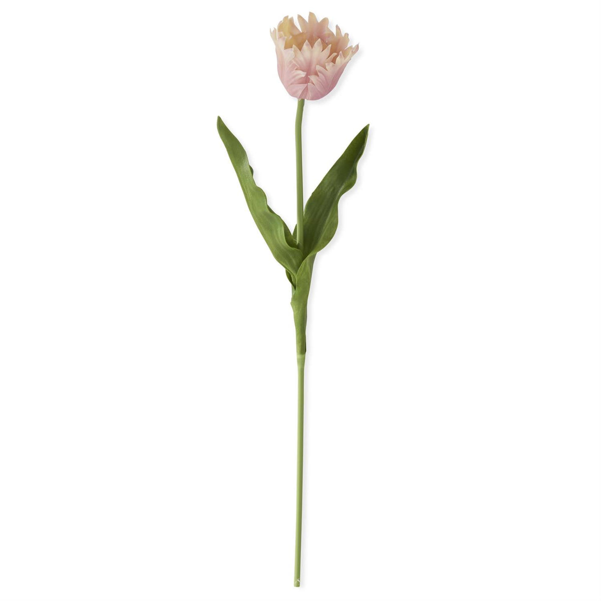 Tall parrot tulip plant with green plastic leaves in a wire stand