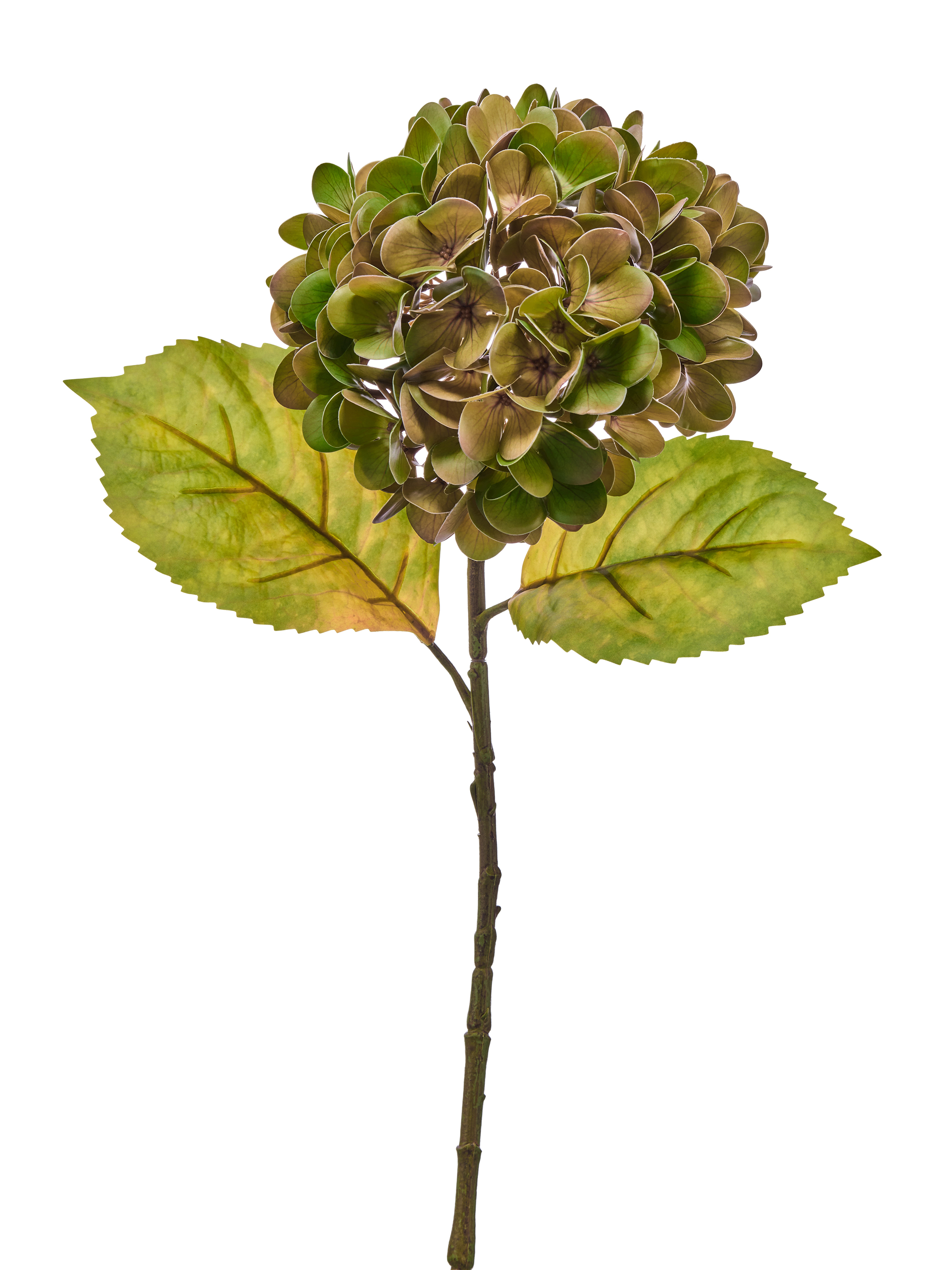 23-inch artificial autumn hydrangea stem with green and brown petals and two large leaves.