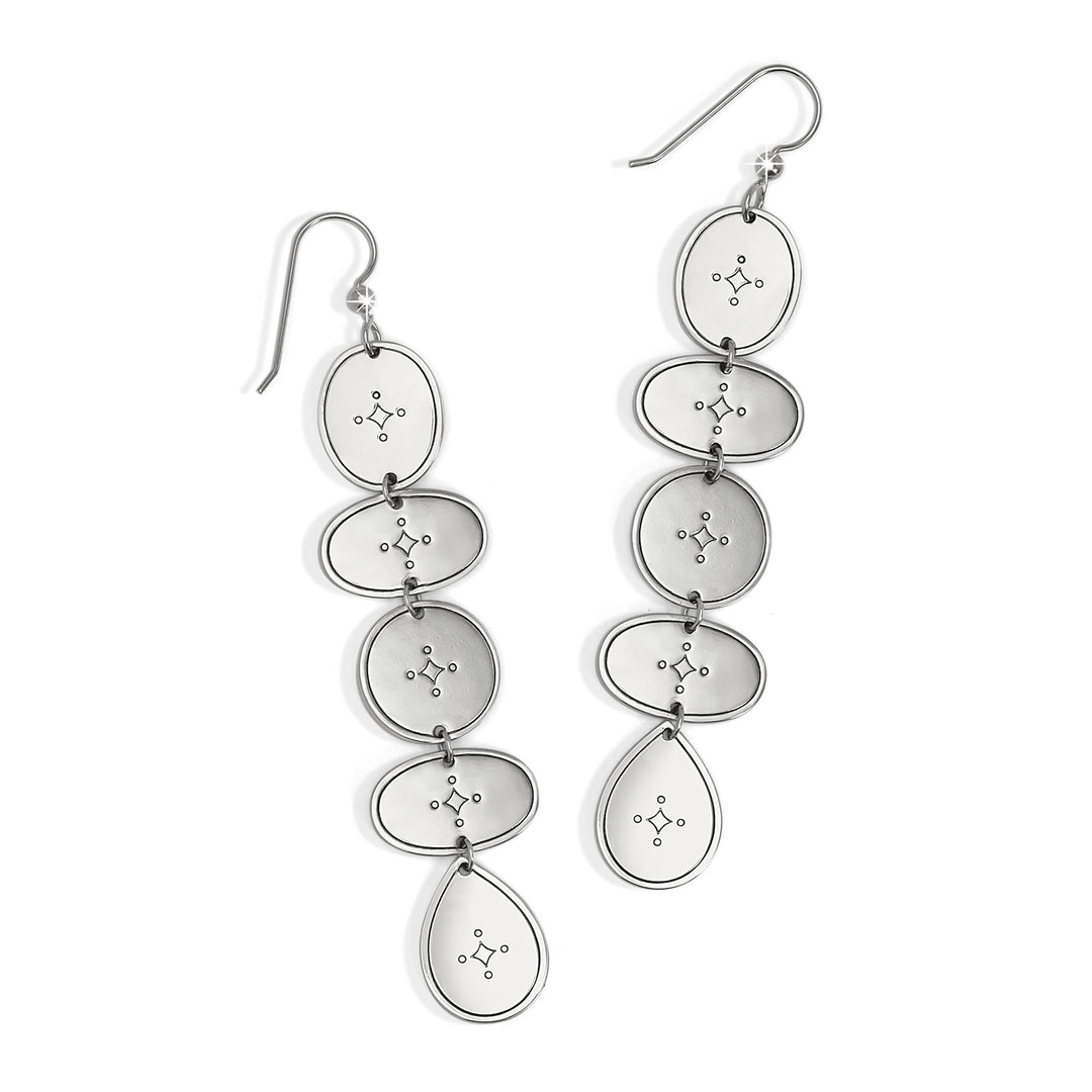Silver hammered French wire drop earrings with a long palm canyon leaf silhouette.