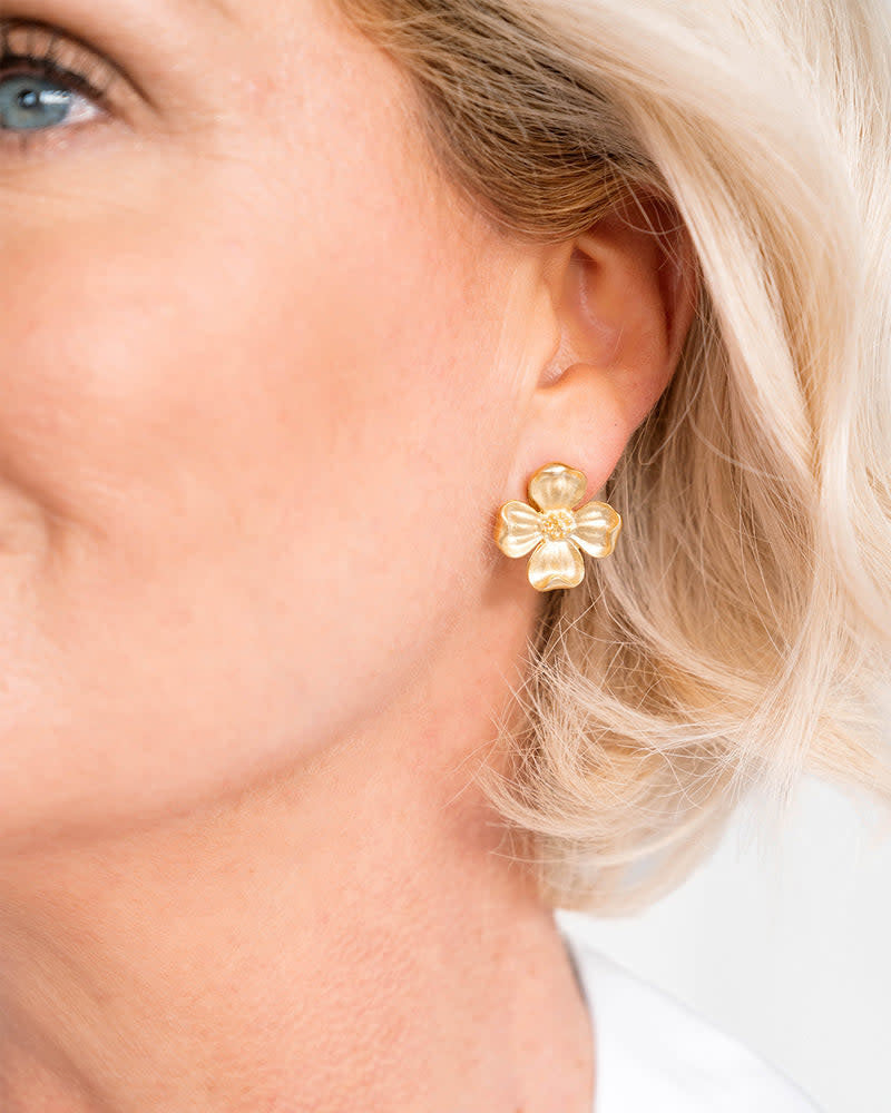 Gold-plated stud earrings featuring a delicate dogwood flower cluster with small petals.
