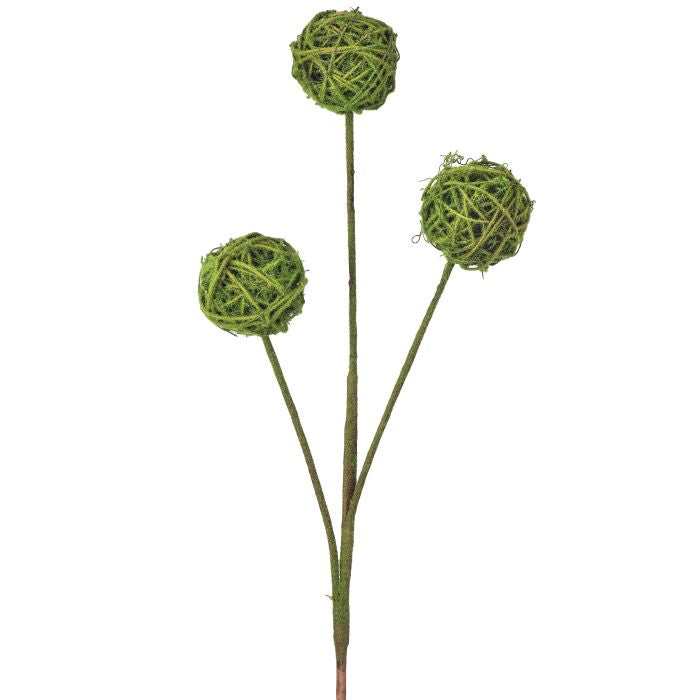 Three moss-covered twig balls arranged together.