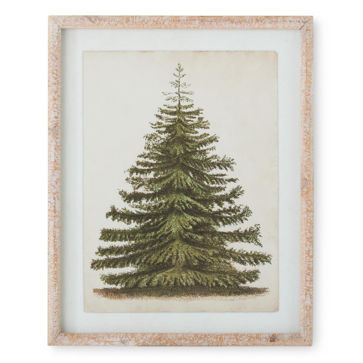 Vintage-style pine tree print in a natural carved wood frame with a white mat.