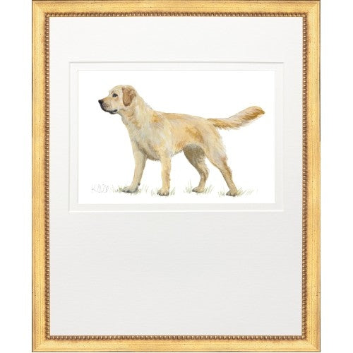 Watercolor painting of a yellow Labrador hunting dog in a gold frame with white matting.
