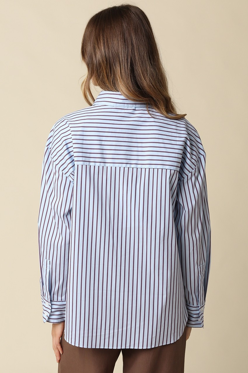 Back view of a light blue and brown striped oversized shirt with a horizontal yoke and long sleeves.