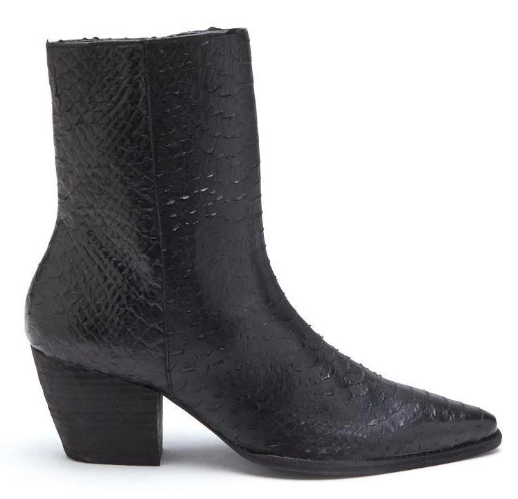 Caty ankle boots with leather upper, padded insole, zipper closure, and stacked heel.
