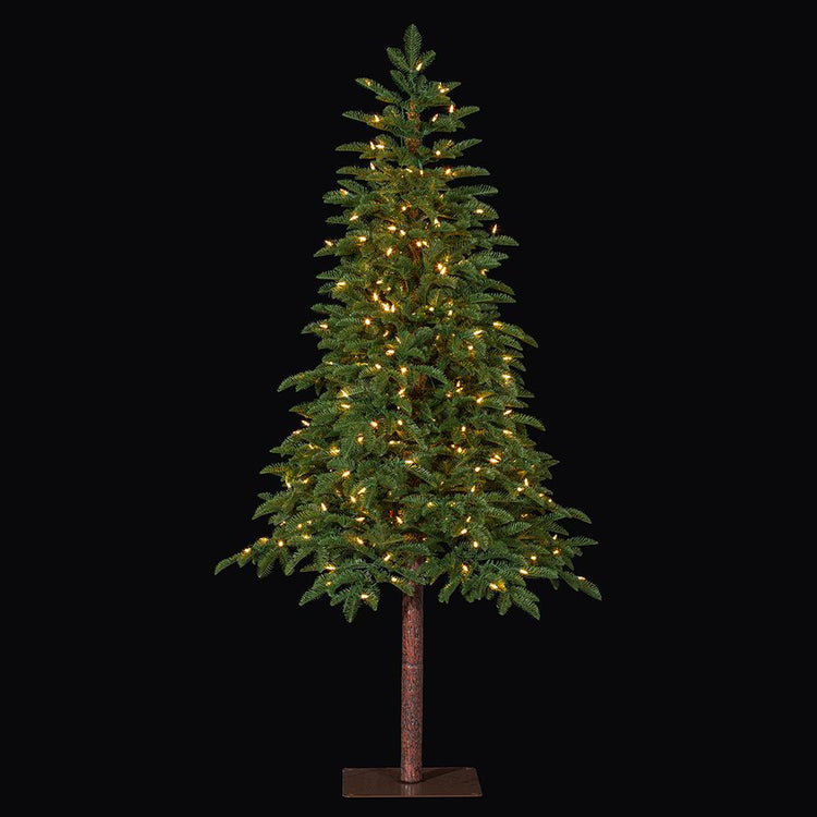 Pencil Pine Tree with 300 warm white LED lights on a brown metal square stand.