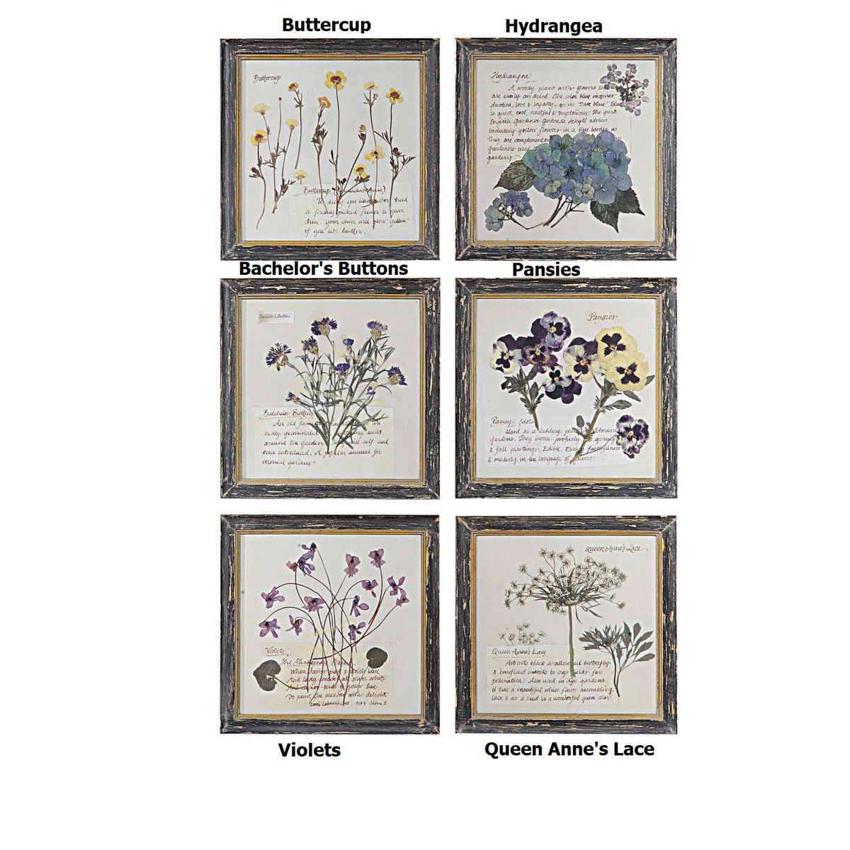 Rustic wood framed wall decor featuring a floral print with dimensions of 9.75 inches.