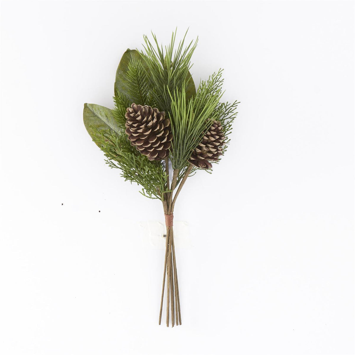 21-inch mixed pine and magnolia bundle with green leaves and two natural pinecones.