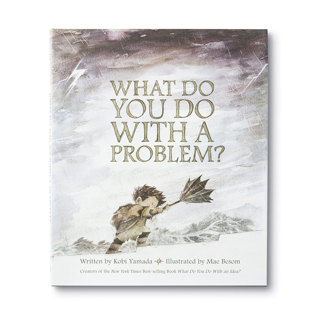 Hardcover book titled What Do You Do With a Problem with blue jacket cover.