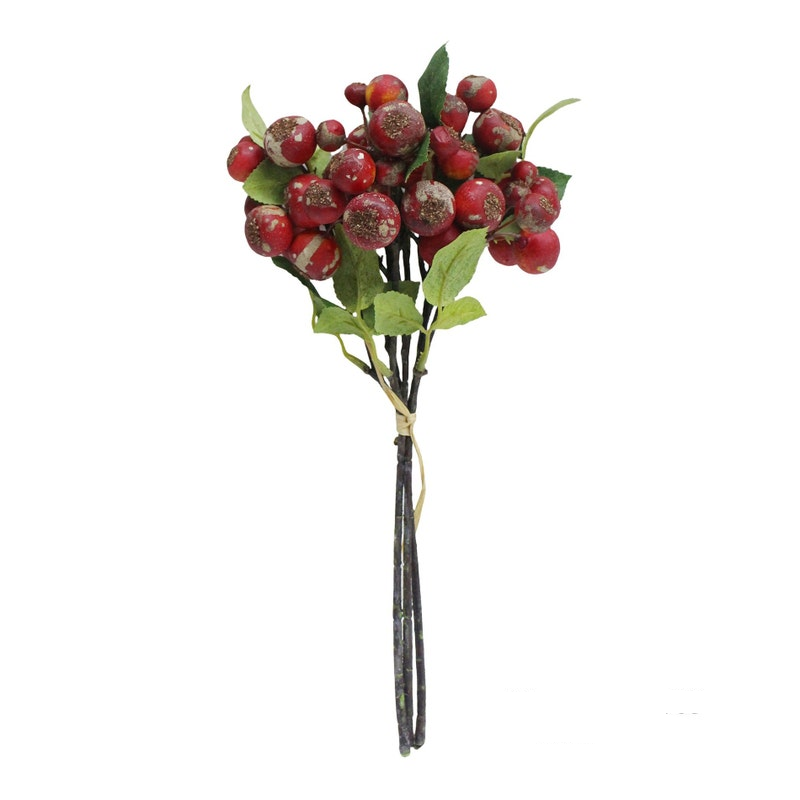 Red rose hip bundle measuring 13.5 x 6 x 6 inches.