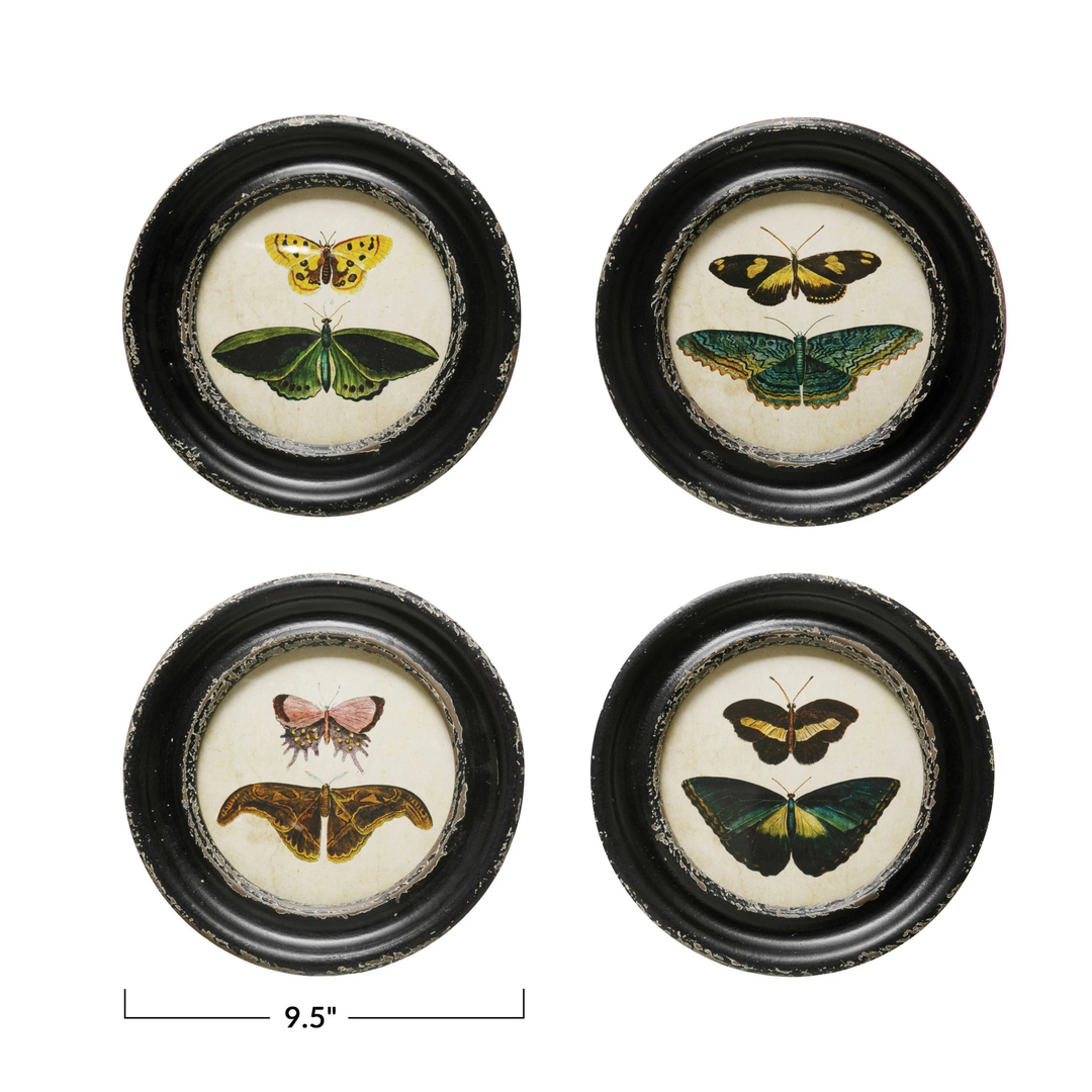 Framed Wall Decor with Moths/Butterflies Image
