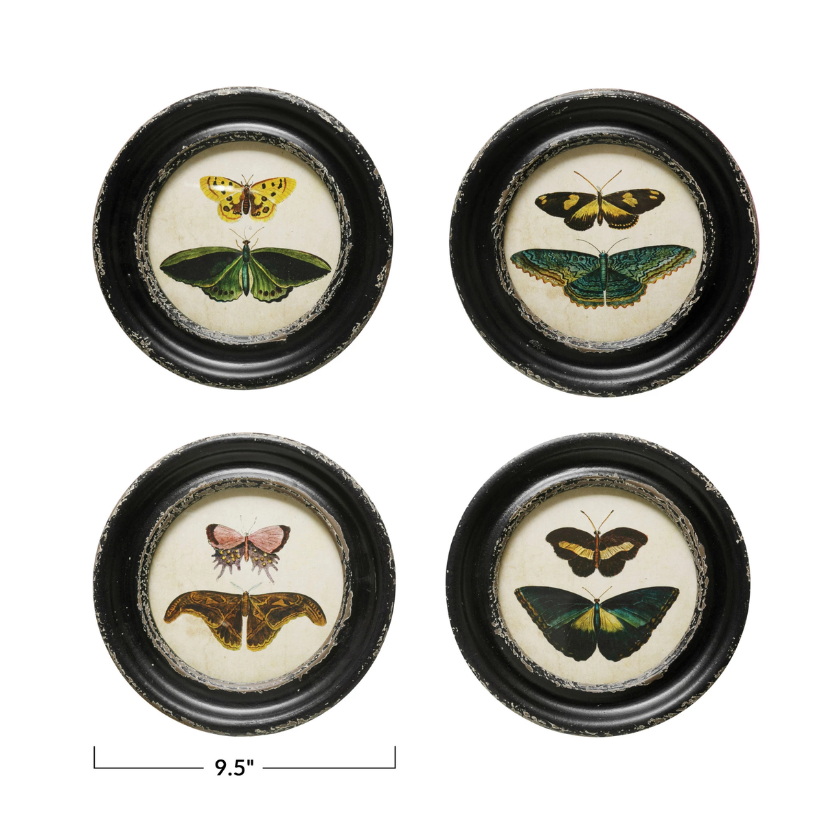 Framed wall decor featuring a black-and-white illustration of moths and butterflies on a light background.