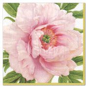 Packaged Caspari triple-ply luncheon napkins featuring museum artwork designs in chlorine-free bleached tissue.