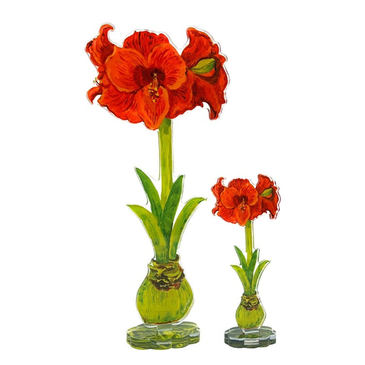 Single red orange amaryllis flower in clear acrylic vase