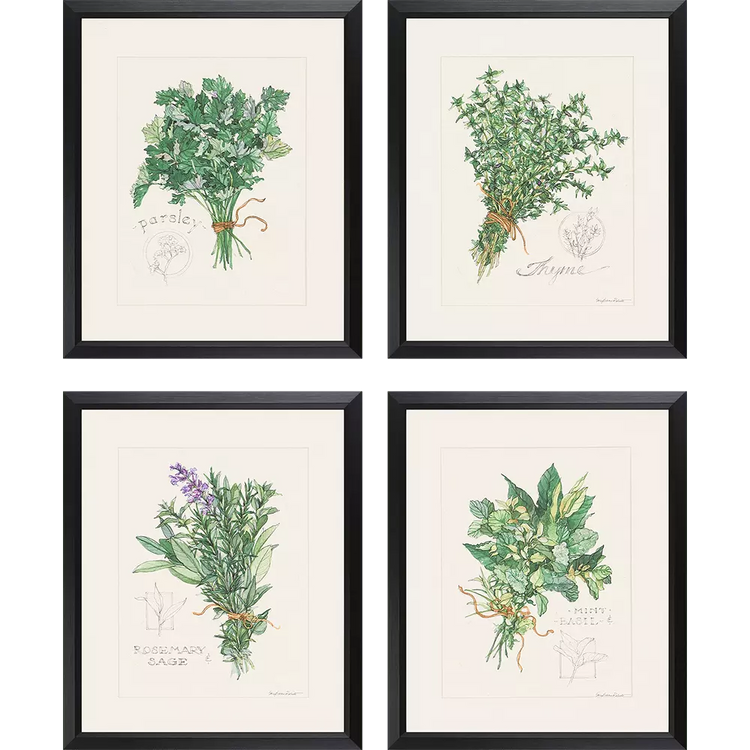Antique gold ribbed frame matting natural herbs botanical print wall art