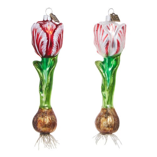 Glass tulip bulb ornament measuring 6.5 inches tall with a clear finish and sculpted petal details.