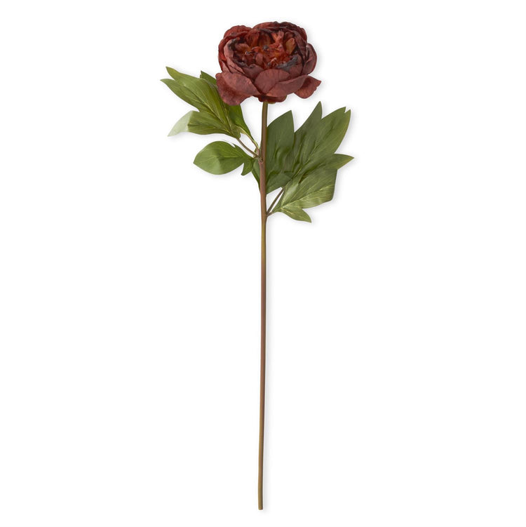 Faux dried peony stem with realistic muted petals in a warm tone.
