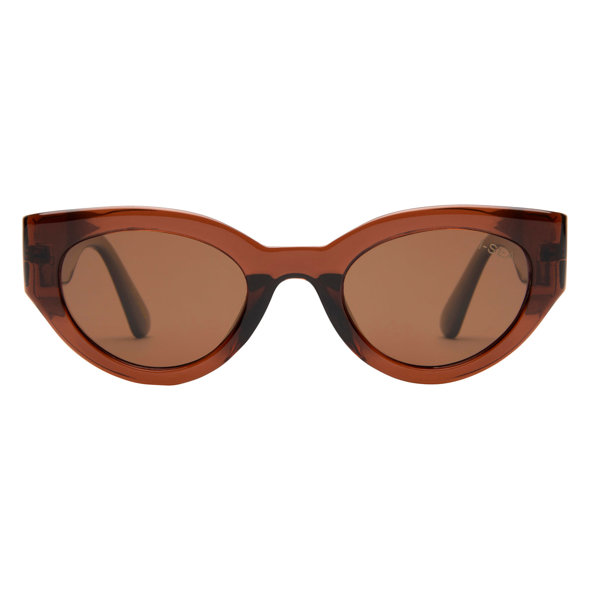 Ashbury Sky cat-eye sunglasses with translucent taupe frames and brown polarized lenses.
