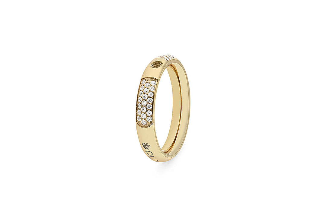 Basic Ring Deluxe
