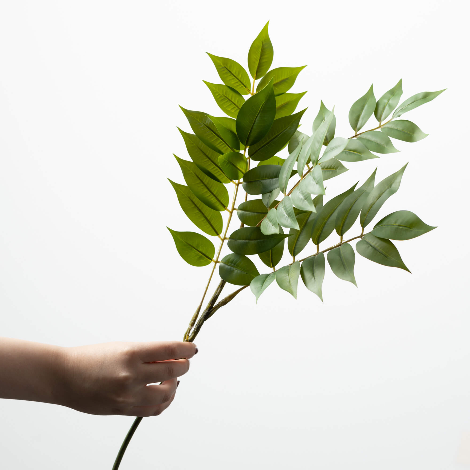 Faux ruscus spray with bold green polyester foliage in a natural silhouette.