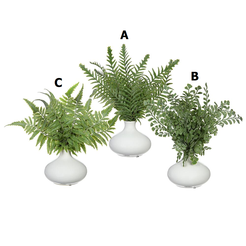 Ceramic vase with a fern plant inside