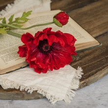 A 25-inch red poppy stem with a large open bloom and a small bud resting on an open vintage book.