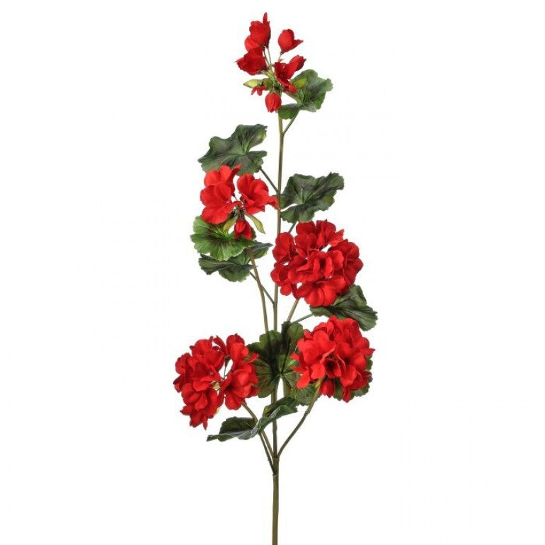 36-inch trailing geranium spray with vibrant green foliage in a UV-resistant container.