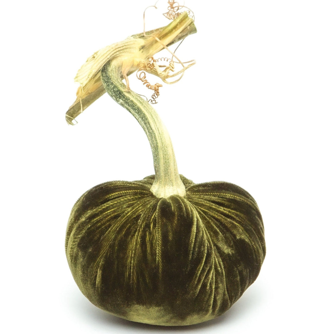 A 3-inch handmade olive green silk velvet pumpkin with a natural, curved dried stem.