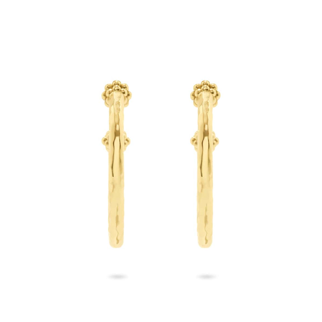 Gold-plated brass medium hoop earrings featuring a berry slice pendant with natural artisanal imperfections.