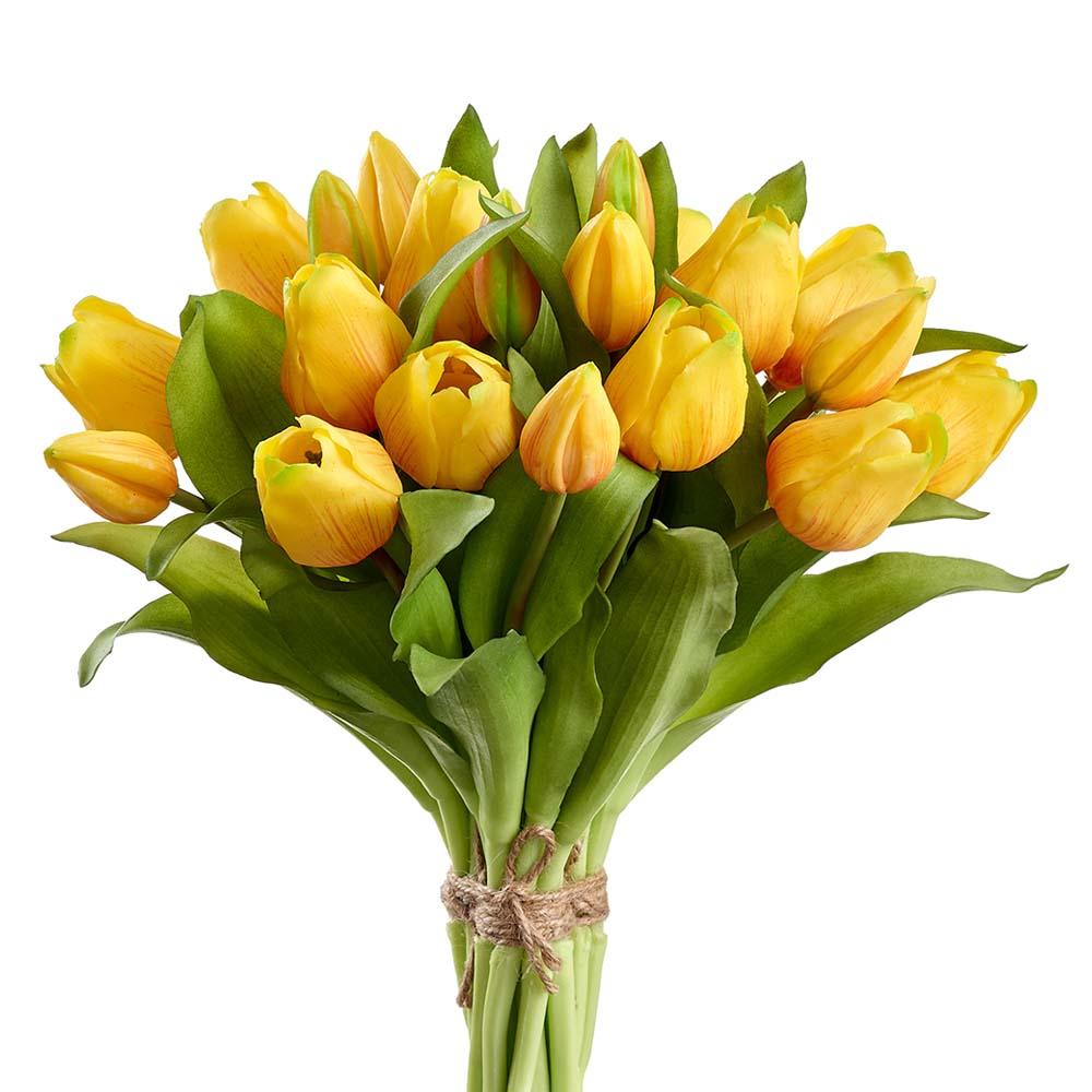 Bouquet of yellow tulips with green leaves, tied with twine.