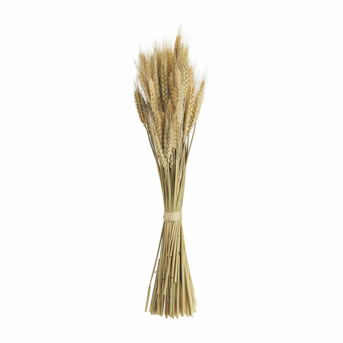 Tall Wheat Bundle: preserved wheat arrangement in natural beige tones with a vertical silhouette.