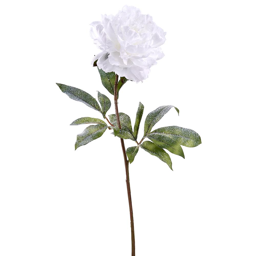 28-inch white snowed peony spray with a single lush bloom and green leaves on a brown stem.