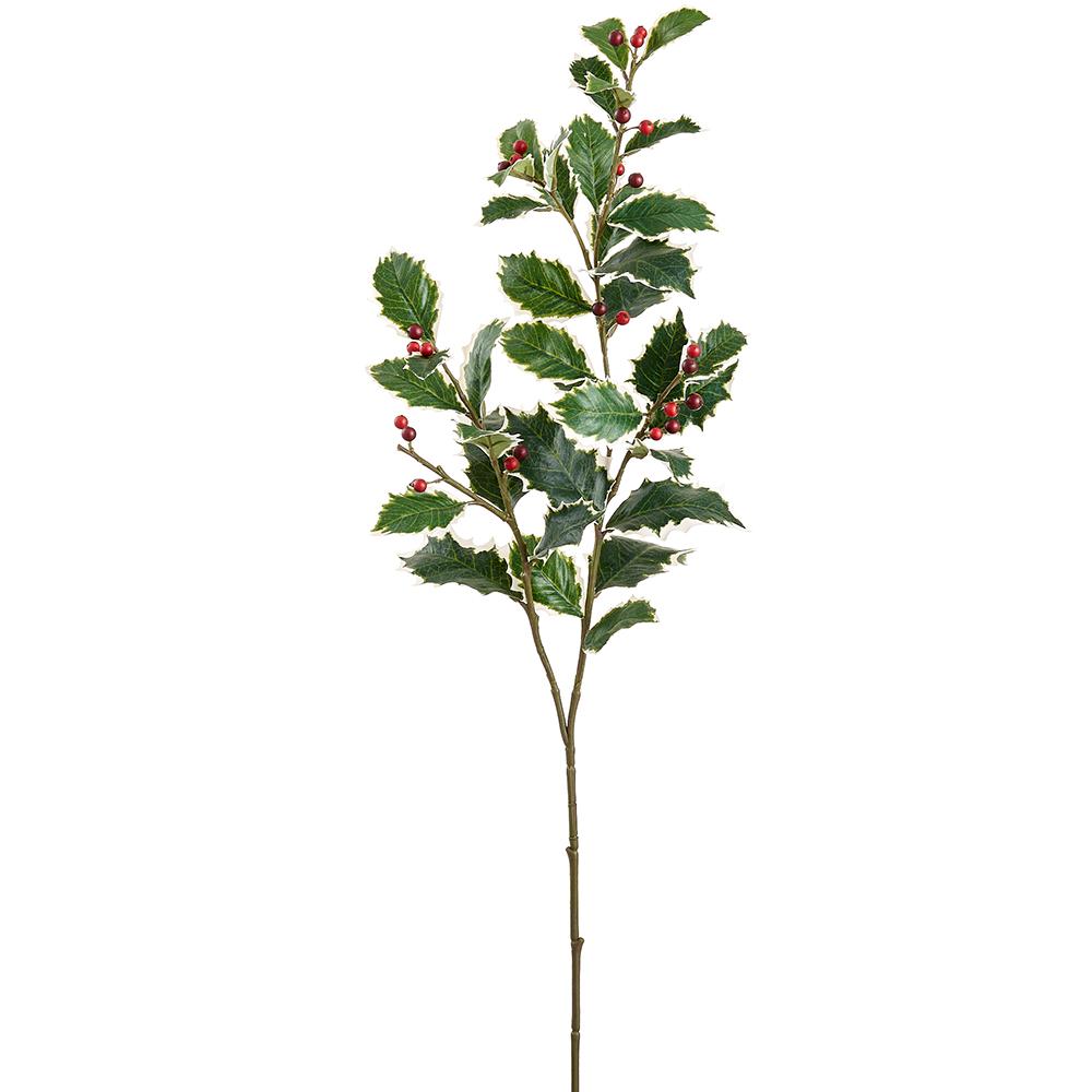 37-inch variegated holly spray with green leaves, white edges, and clusters of red berries.